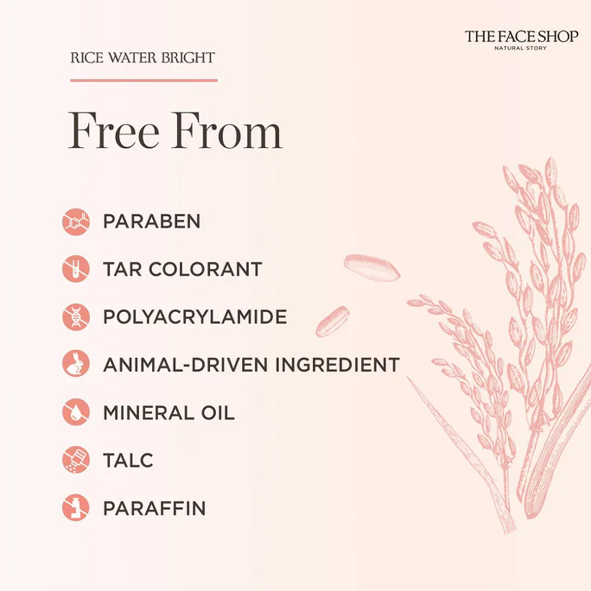 THE FACE SHOP RICE WATER BRIGH - High Luxury Skincare recension och pris